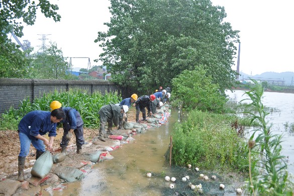 jxf���𷻡�[�й�]�ٷ���վ