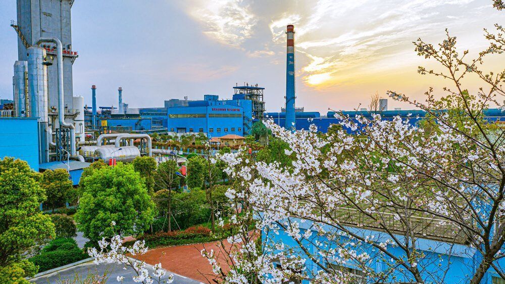 jxf���𷻡�[�й�]�ٷ���վ