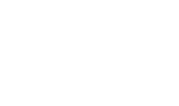 16969213494591 16969213494591